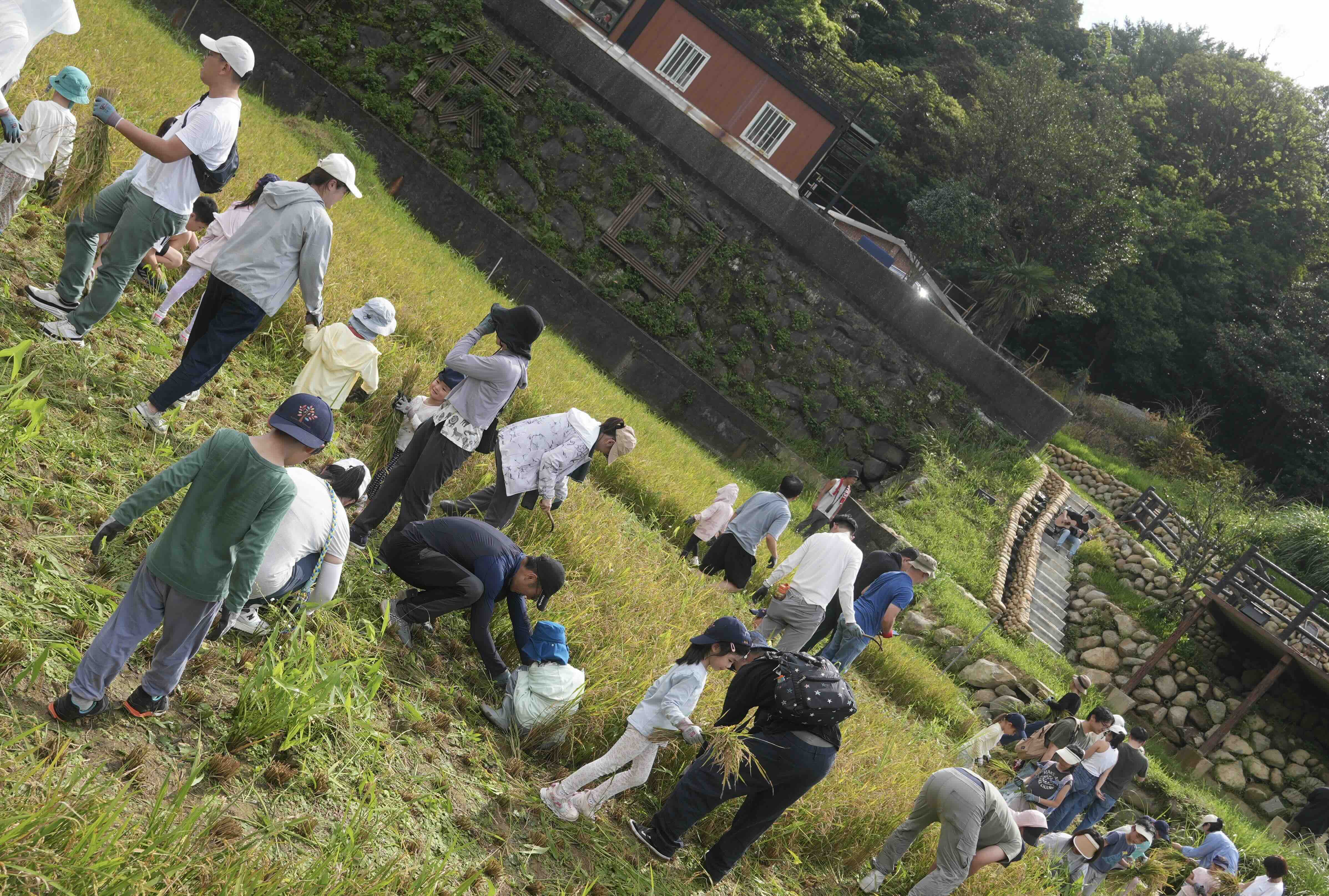 During harvest